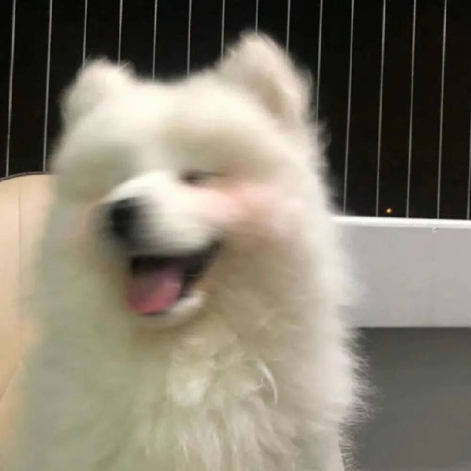 期末复习题库